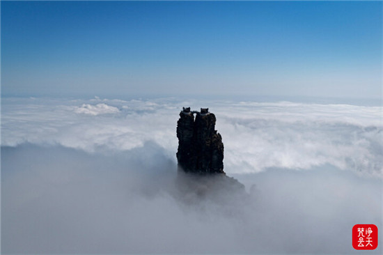 微信图片_2026-01-24_100506_715