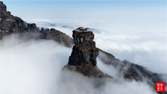 微信图片_2026-01-24_100509_706