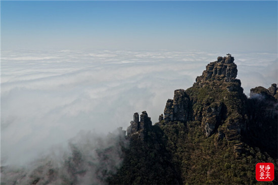 微信图片_2026-01-24_100512_917