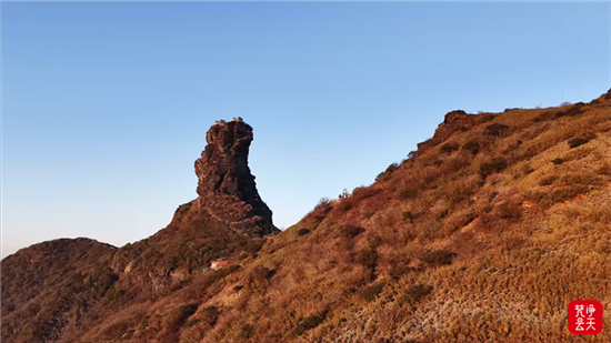 微信图片_2026-01-24_100526_543