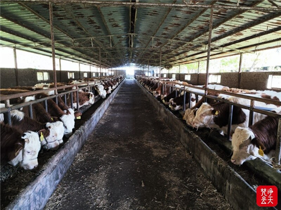 微信图片_2026-01-24_154216_674