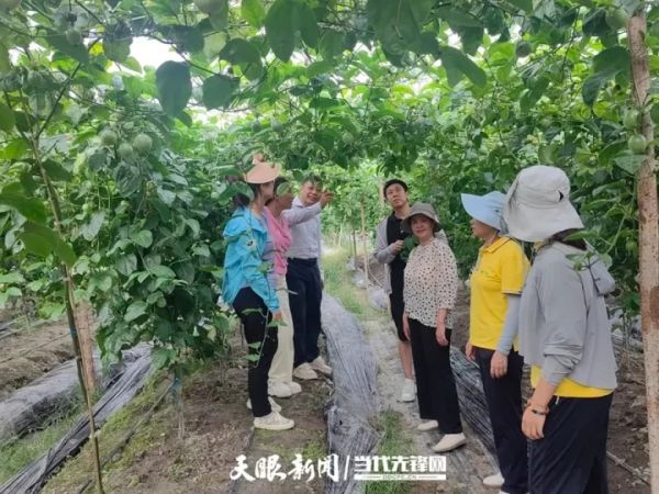 代表委员风采录｜龙秀琴委员：“一花”绽放生态美 “一果”飘香百姓富