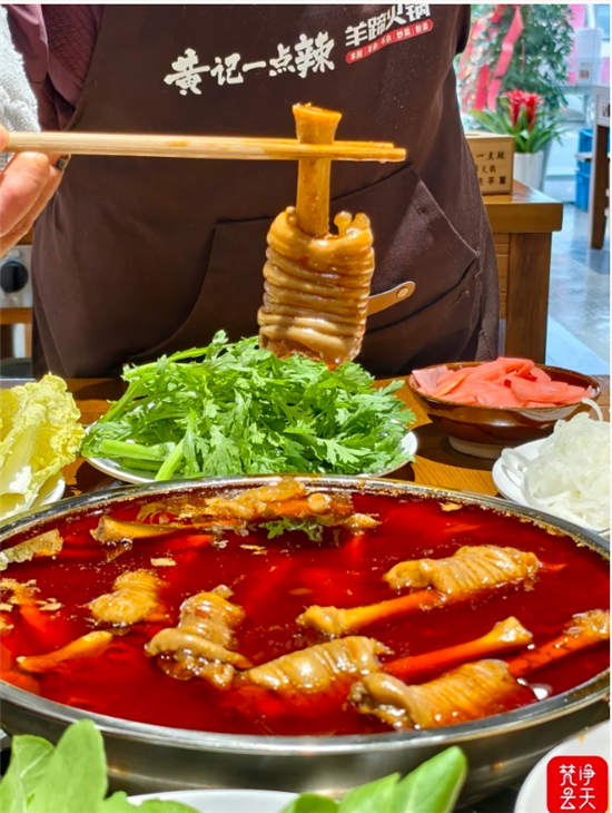 微信图片_20260127164427_1959_2