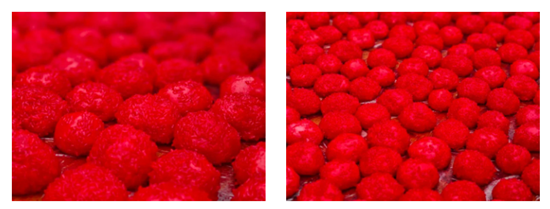 微信图片_20260130144631_1992_2