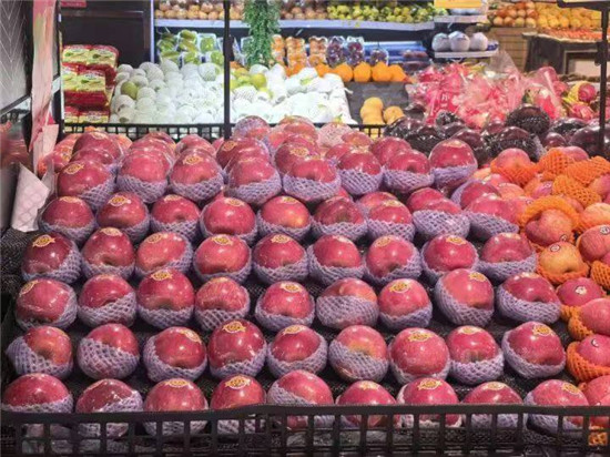 微信图片_20260130151055_2008_2