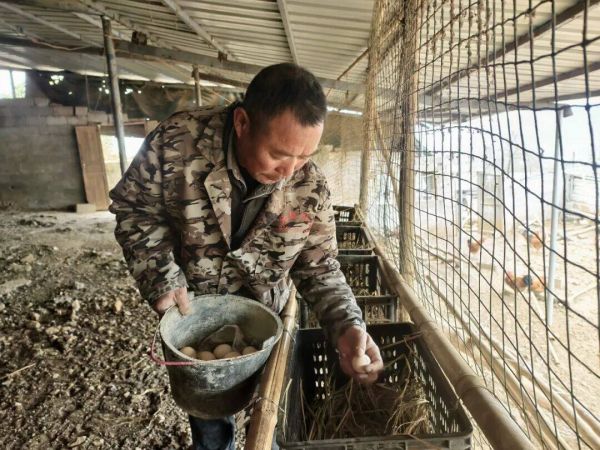 微信图片_2026-01-31_155312_995