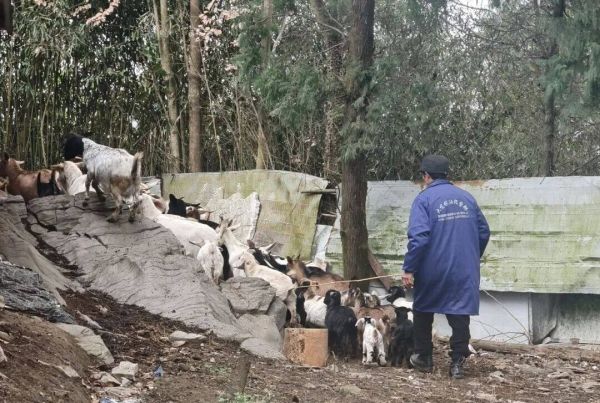 微信图片_2026-01-31_155344_022