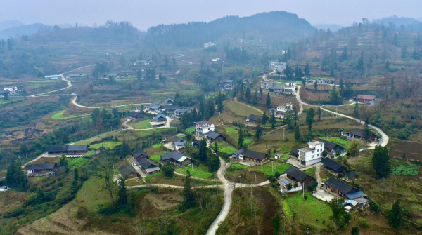 微信图片_2026-01-31_161103_999