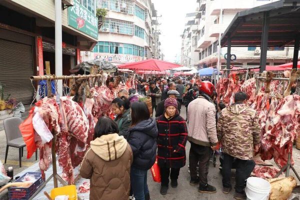 微信图片_2026-02-03_160248_774