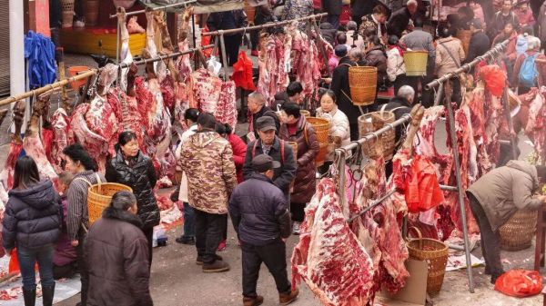 微信图片_2026-02-03_160310_261