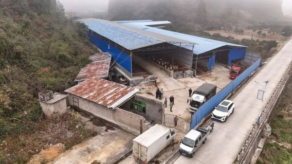 微信图片_2026-02-03_160318_169