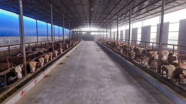 微信图片_2026-02-03_160326_489