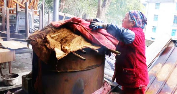 微信图片_2026-02-06_142623_125