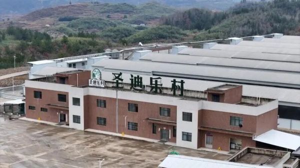 微信图片_2026-02-06_215638_020