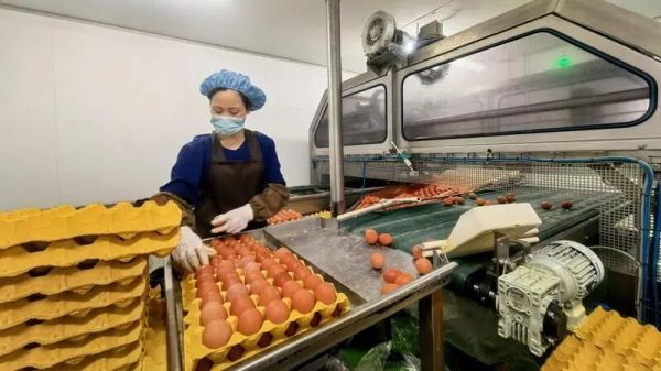 微信图片_2026-02-06_215654_299