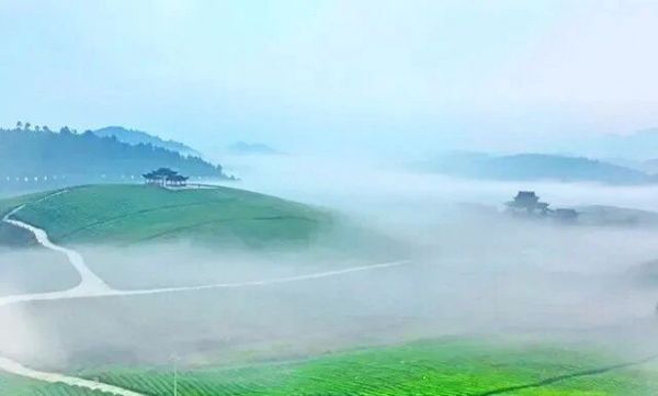 微信图片_2026-02-06_222632_324