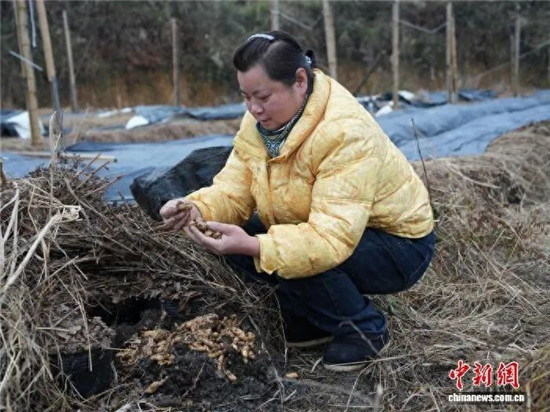 微信图片_2026-02-08_085629_214