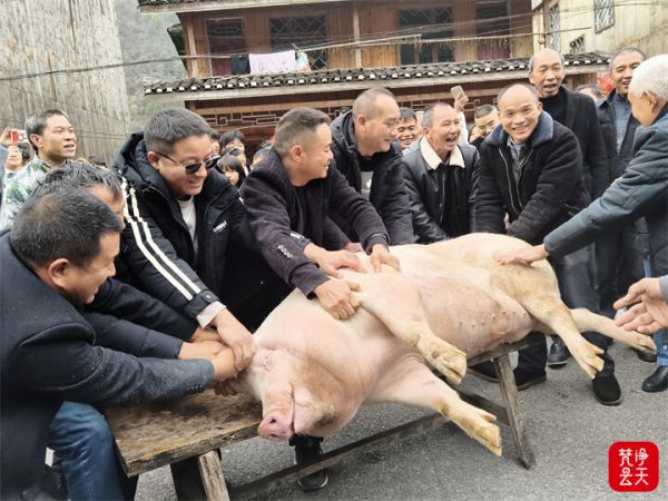 微信图片_2026-02-09_144714_607