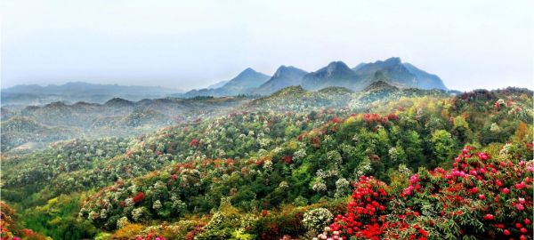 微信图片_2026-02-11_205731_346