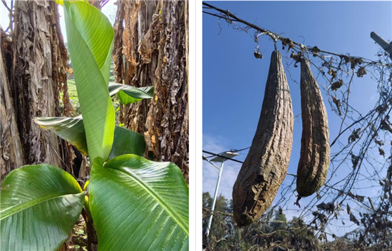 微信图片_20260223184201_2271_2