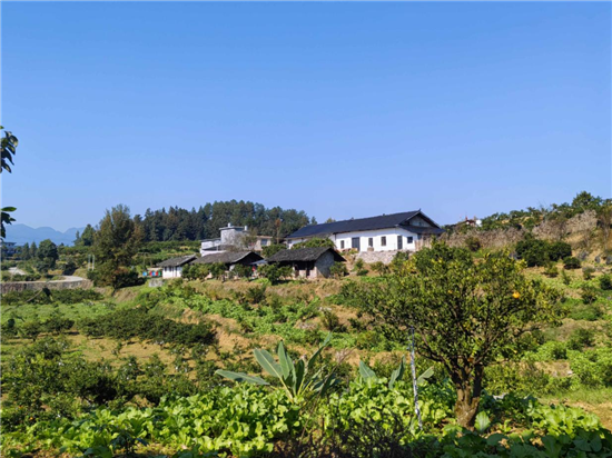 【深度】边山农场的守望者