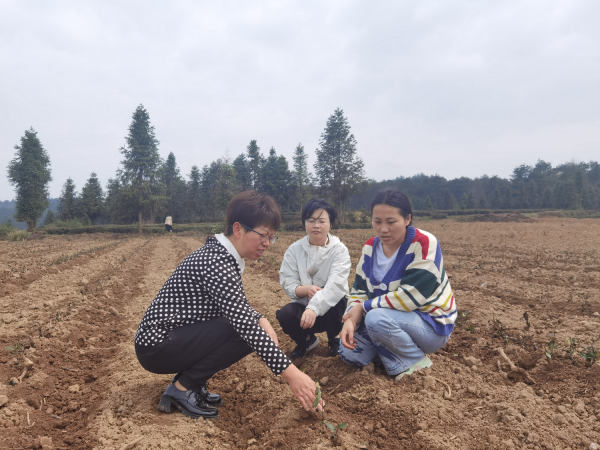 微信图片_2026-02-24_161833_325