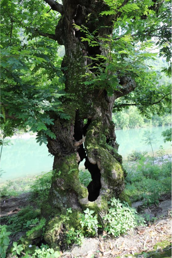 微信图片_2026-02-24_201632_365