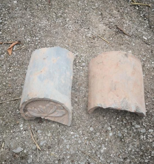 微信图片_2026-02-24_201709_965