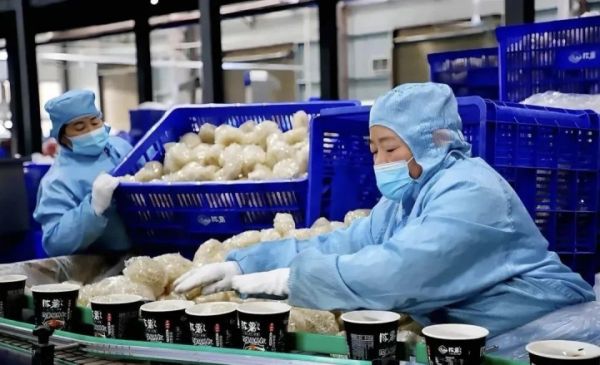 思南：从“单向帮扶”到“双向赋能”  东西部协作激活新动能