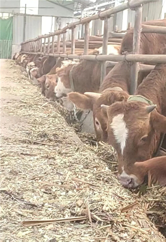 微信图片_2026-02-26_151343_863