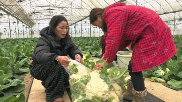 微信图片_2026-02-27_145736_019