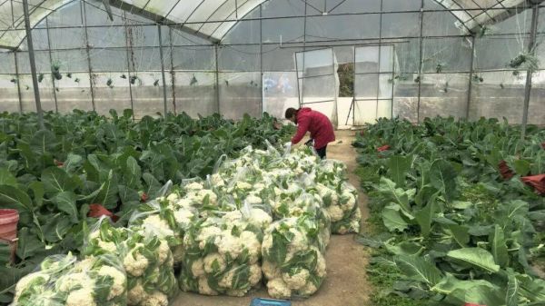 微信图片_2026-02-27_145751_781