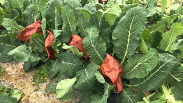 微信图片_2026-02-27_145744_845