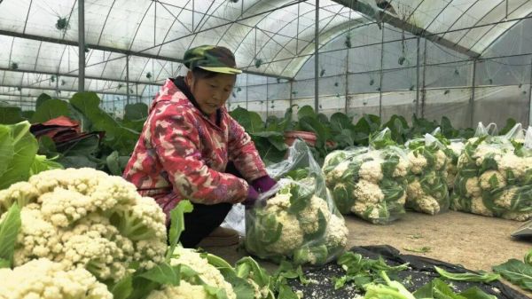 微信图片_2026-02-27_145759_433