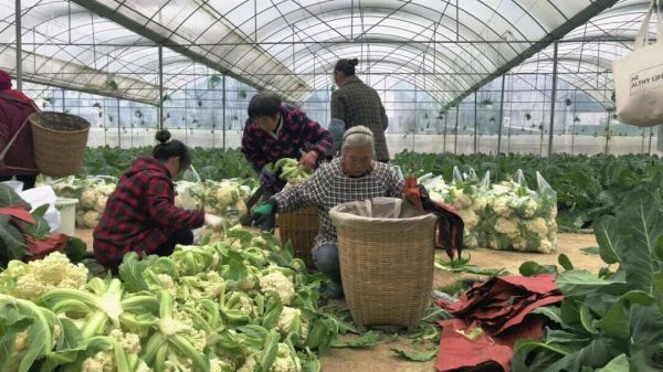 微信图片_2026-02-27_145806_994