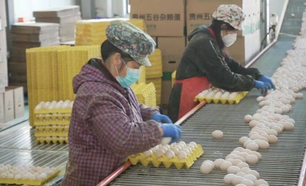 微信图片_2026-02-27_145819_885