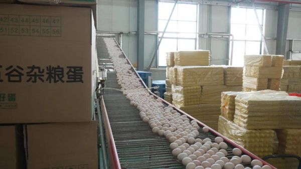 微信图片_2026-02-27_145831_452