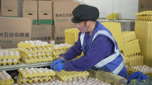 微信图片_2026-02-27_145903_082