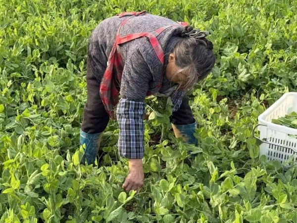 微信图片_2026-02-27_215003_447