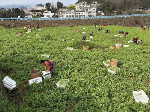 微信图片_2026-02-27_215011_834