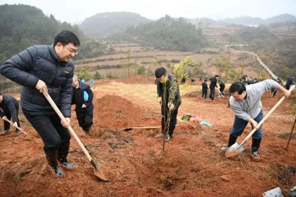 铜仁市2026年义务植树活动举行