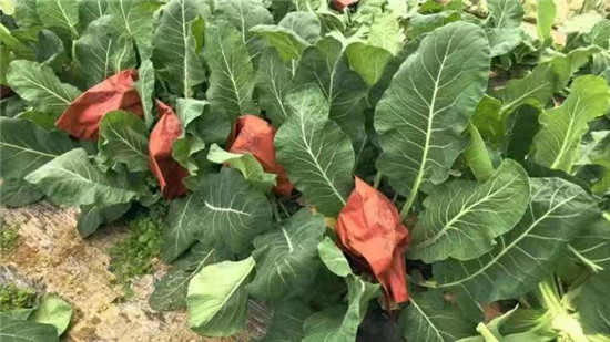 微信图片_20260301152207_2327_2