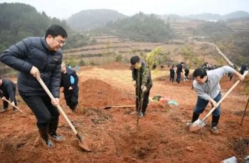 铜仁市2026年义务植树活动举行
