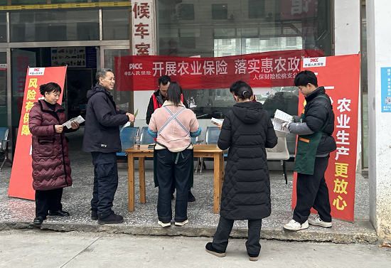 人保财险铜仁松桃支公司：深入乡镇宣传  筑牢农险保障
