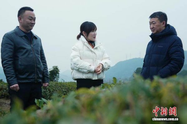 微信图片_2026-03-05_221411_369