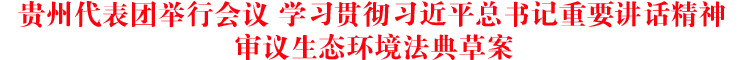 贵州代表团举行会议 学习贯彻习近平总书记重要讲话精神 审议生态环境法典草案