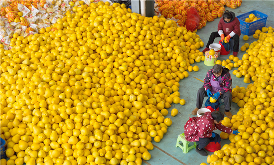 微信图片_2026-03-10_143906_440