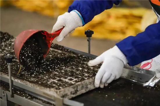 微信图片_2026-03-10_144713_495