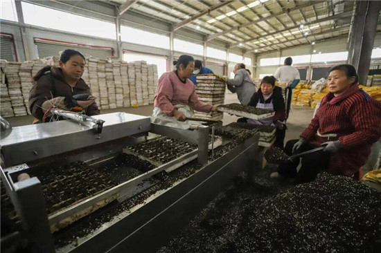 微信图片_2026-03-10_144709_689