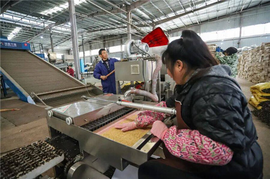 微信图片_2026-03-10_144717_578